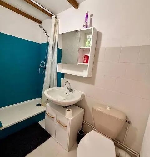 Au Chateau De Apartament Lachau